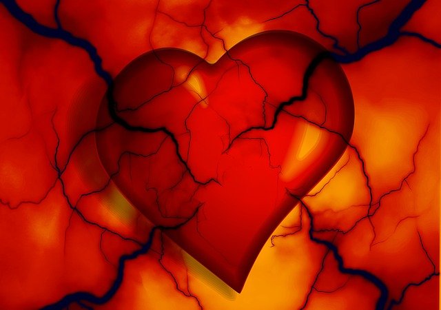 Heart And Vascular Disease – Our National Disgrace